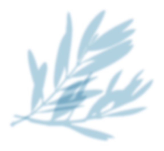 リーフイメージ